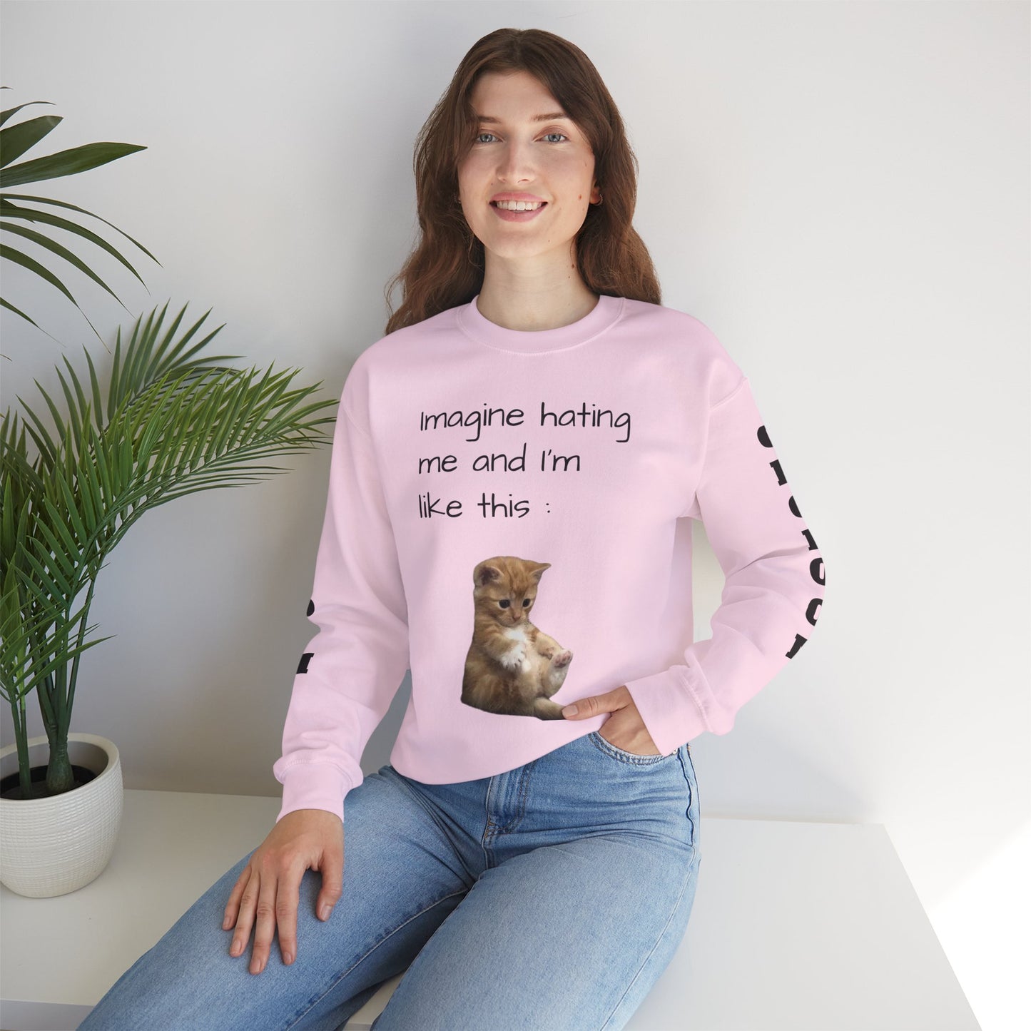 imagine hating me - Silly Cat collection