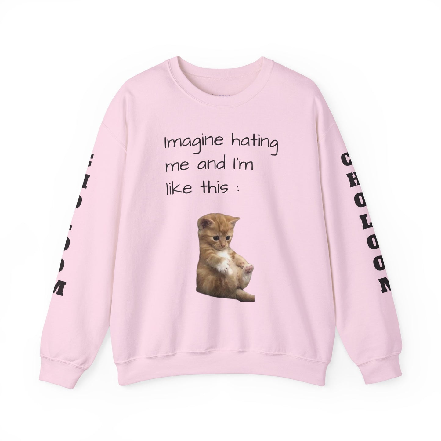 imagine hating me - Silly Cat collection