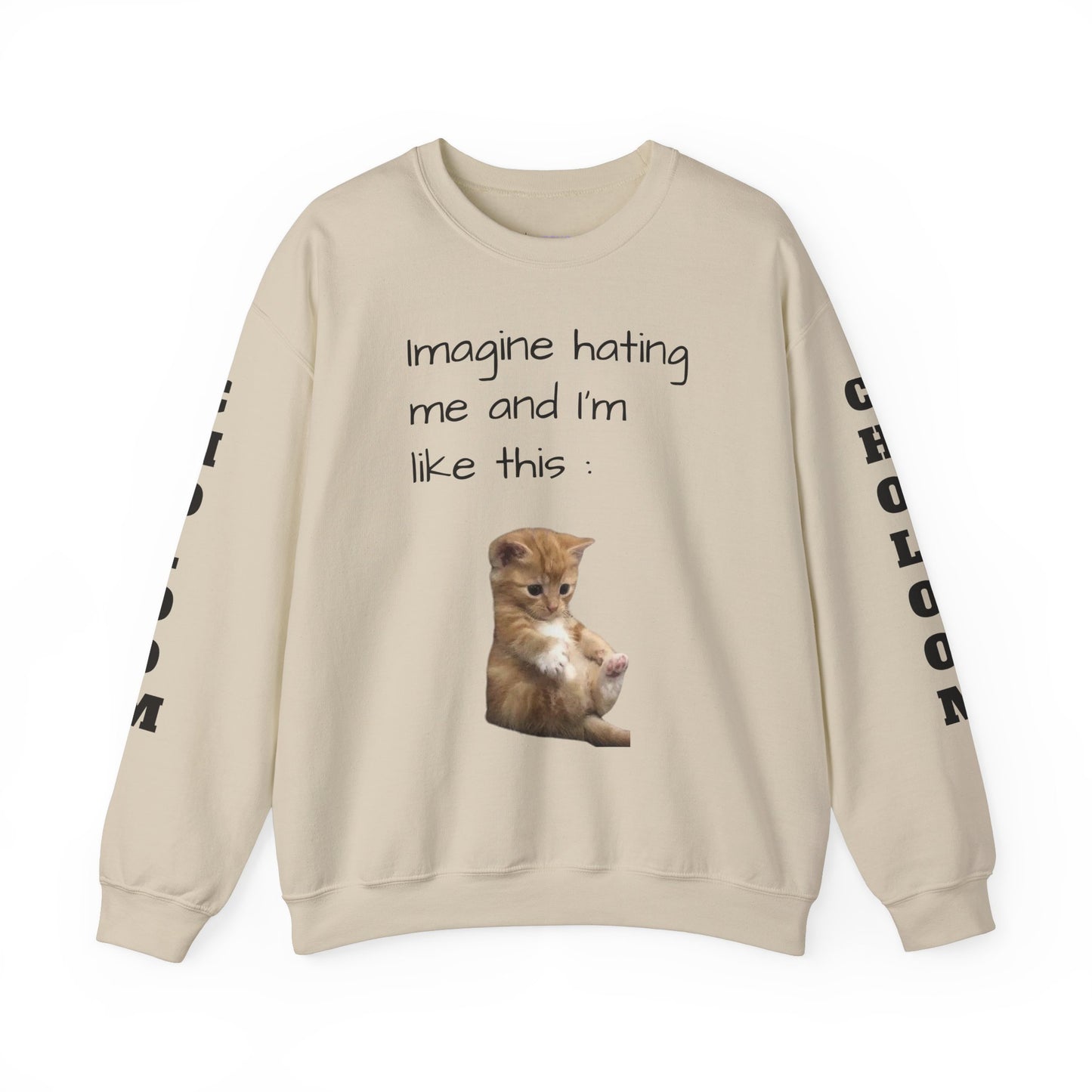 imagine hating me - Silly Cat collection