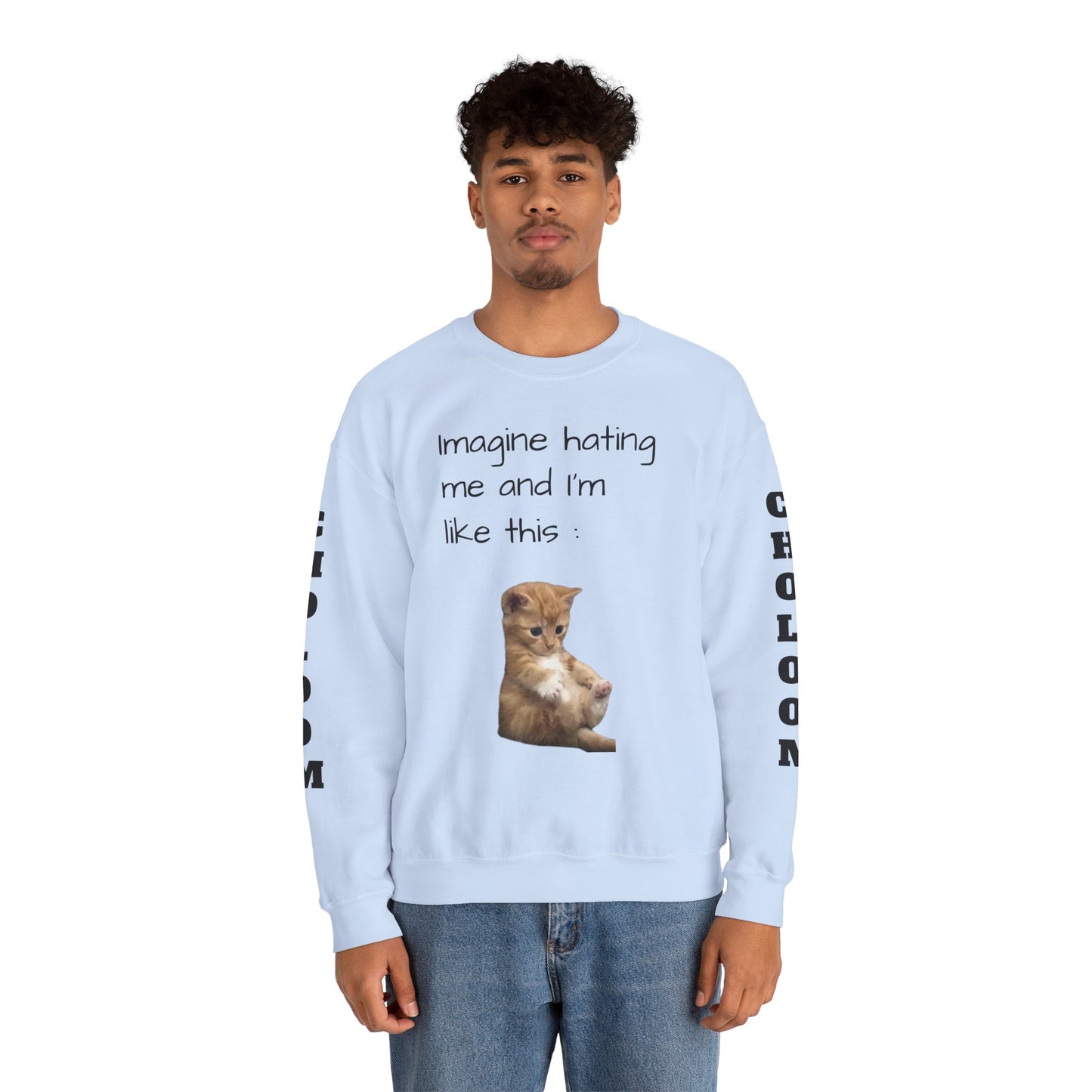 imagine hating me - Silly Cat collection