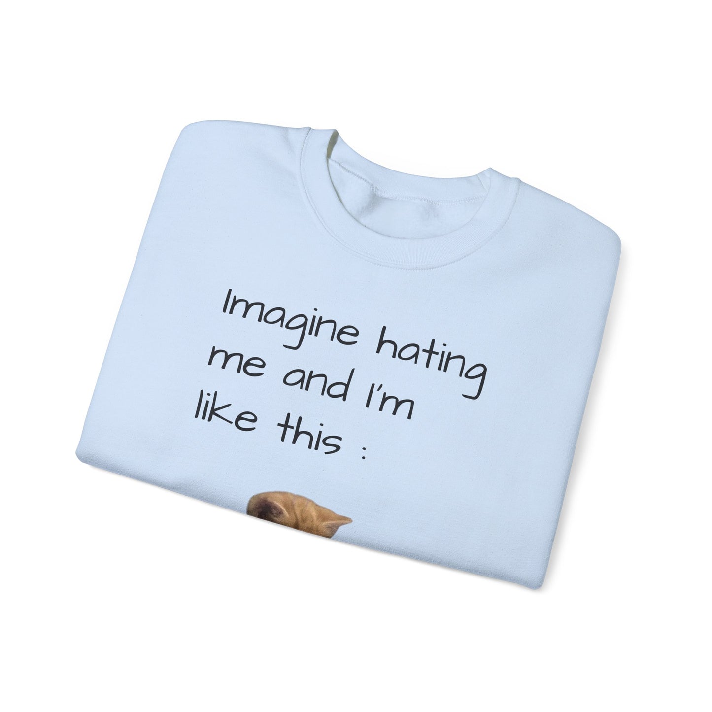 imagine hating me - Silly Cat collection