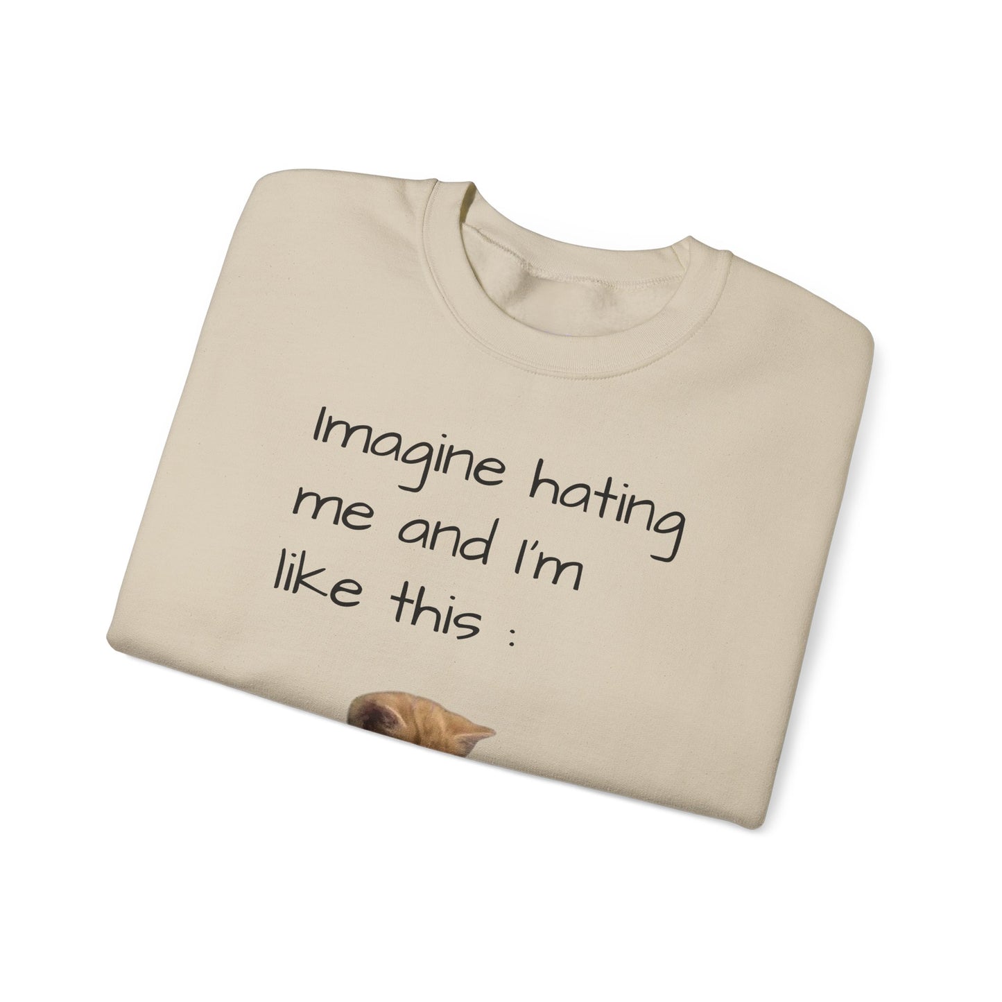 imagine hating me - Silly Cat collection