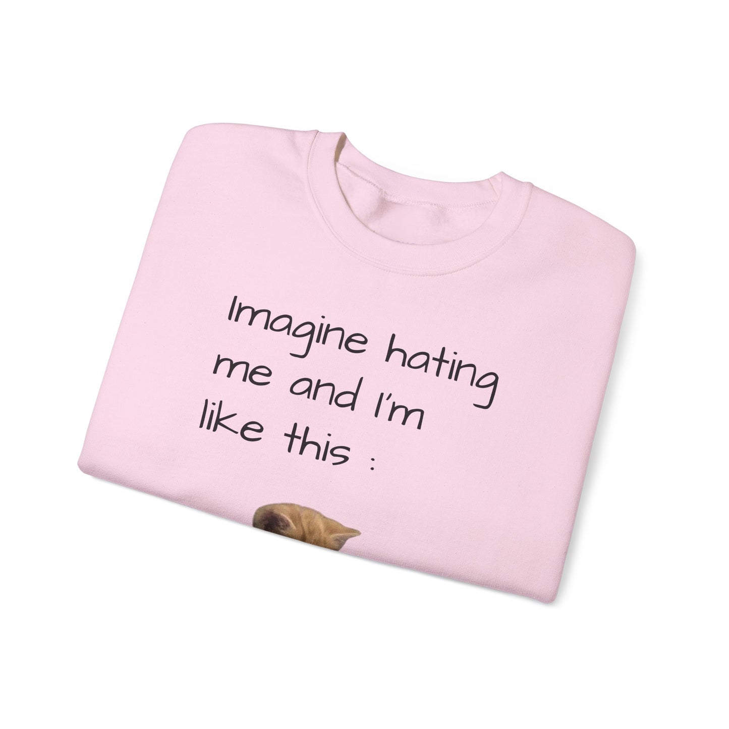 imagine hating me - Silly Cat collection